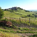 Fior Di Farine