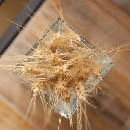 Fior Di Farine Bed & Breakfast 4*