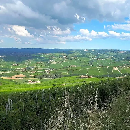 Fior Di Farine