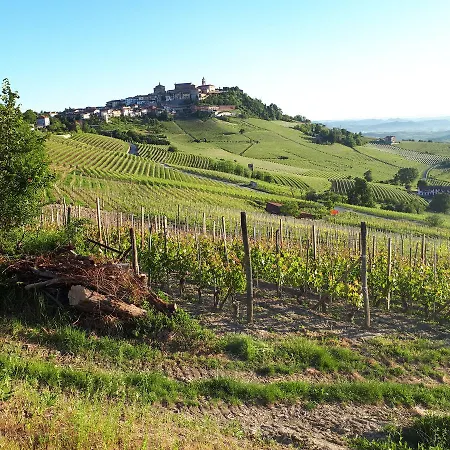 Fior Di Farine